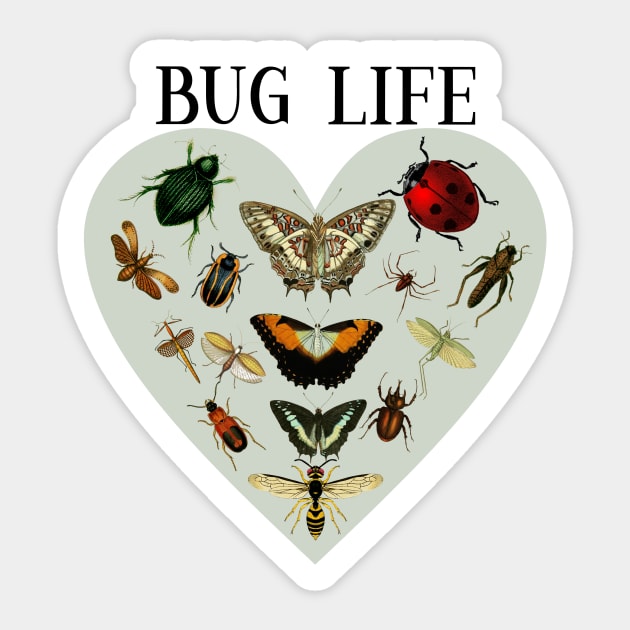 Entomology / Bug Lover /Entomologists / Bug Life Sticker by allthumbs